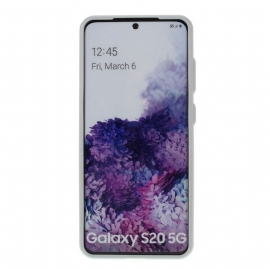 Deksel Til Samsung Galaxy S20 Sky Series Hybrid Kortholder